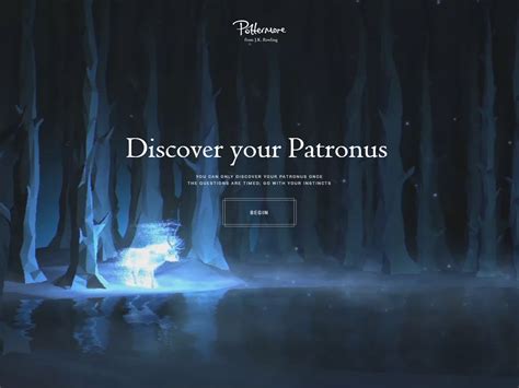 potter more test|pottermore test deutsch.